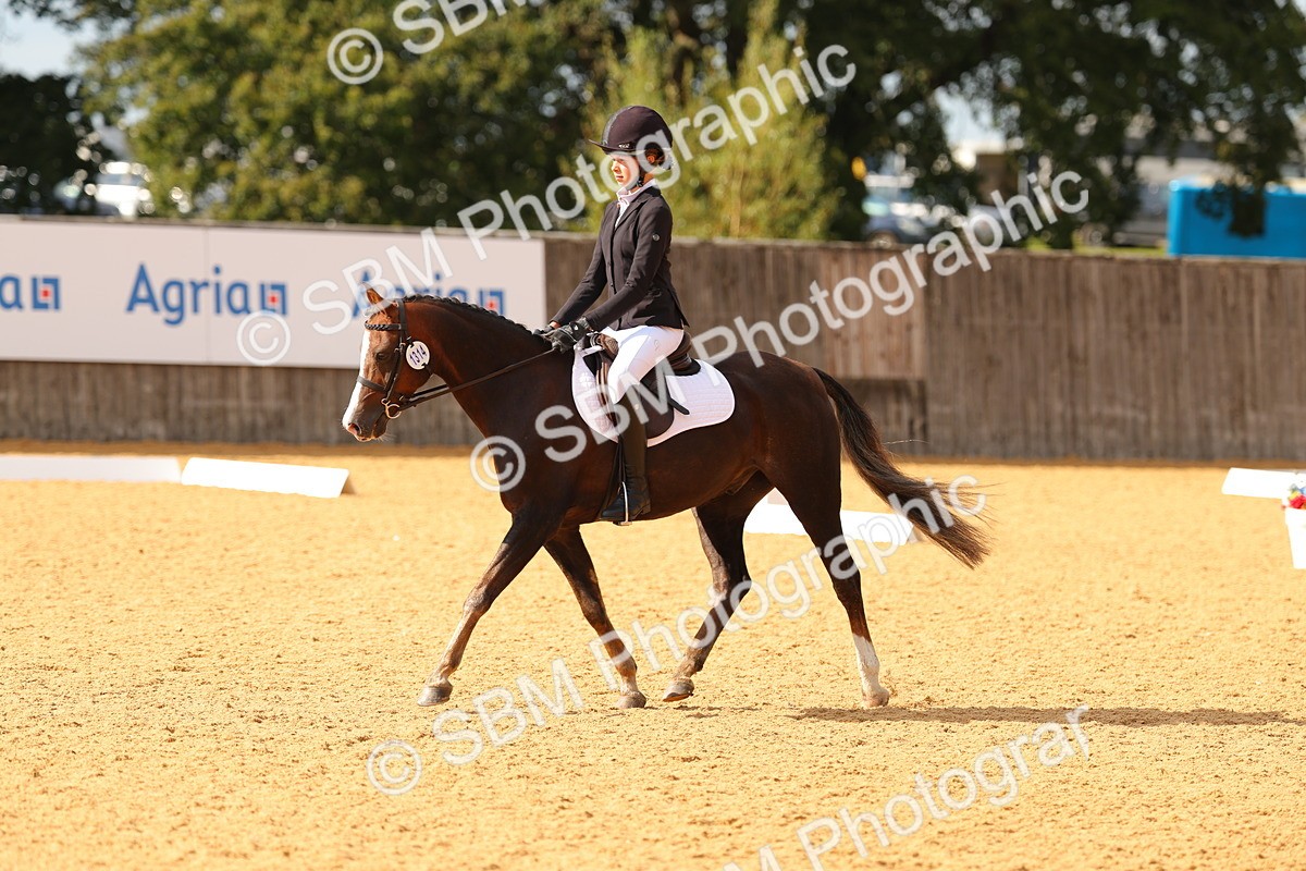 SBM_48378 - D22 - Junior Championship - Intro B