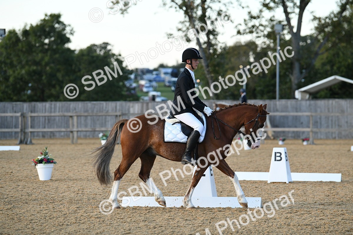 SBM_30990 - D16 - Small Tour Championship - Novice 28