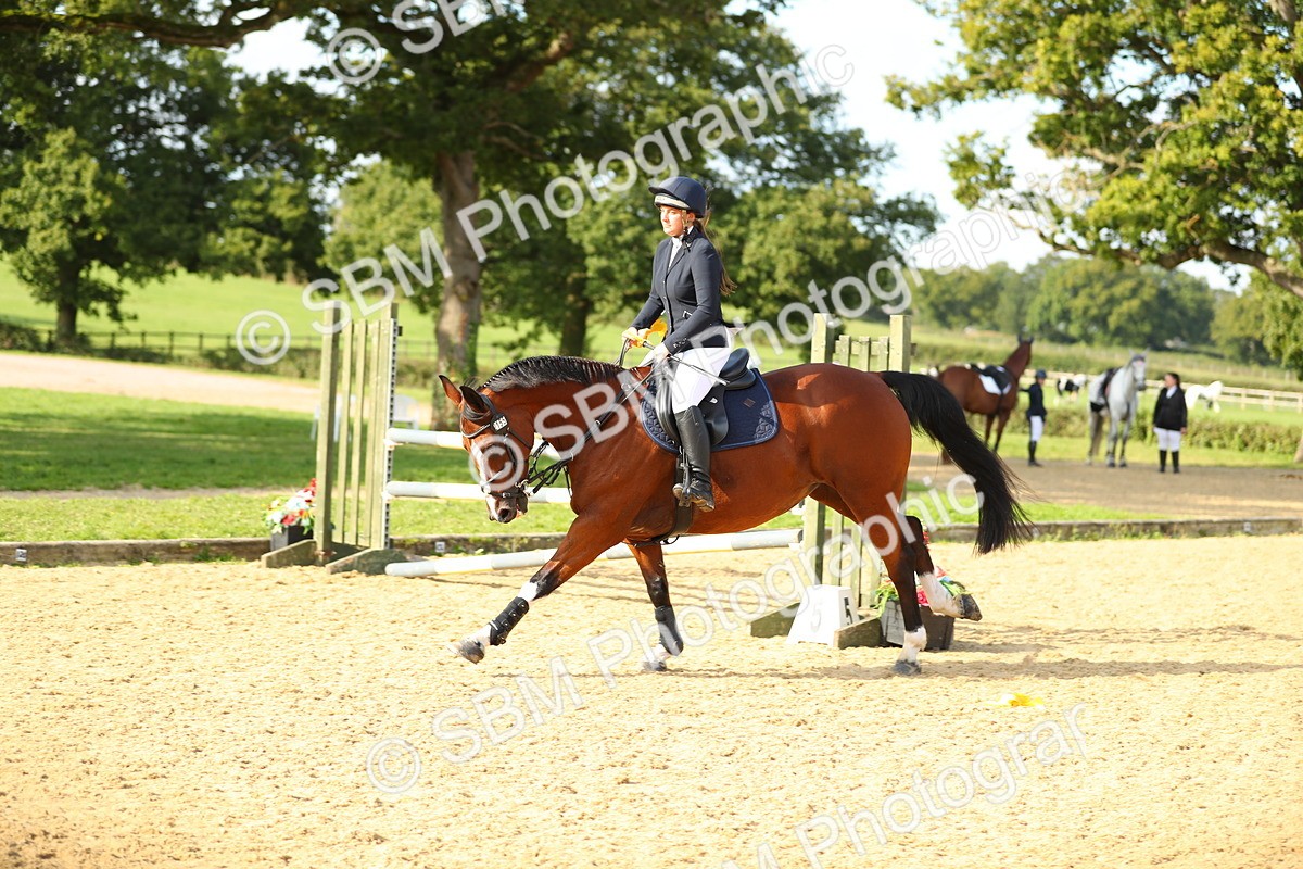 SBM_60473 - J41 - Grand Tour 95cm Championship