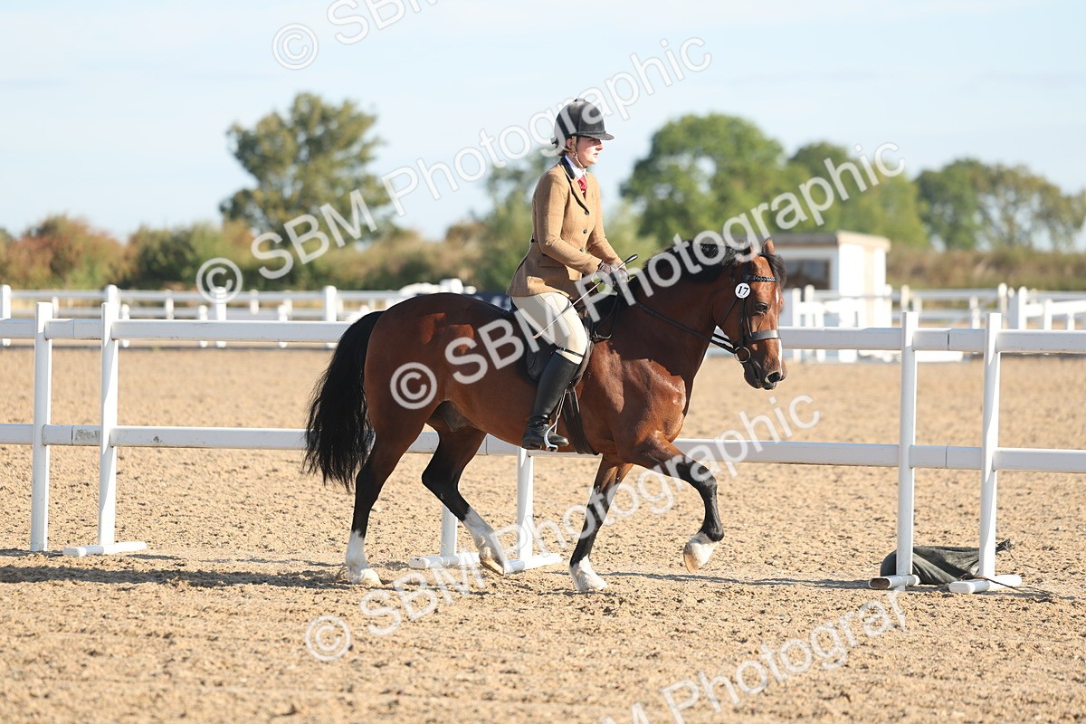SBM_10978 - Class 302 - Ridden M&M Large Breeds