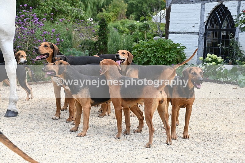 WJ6_3835 - Berks & Bucks - The Old farmhouse - Hound Exercise 20-08-25