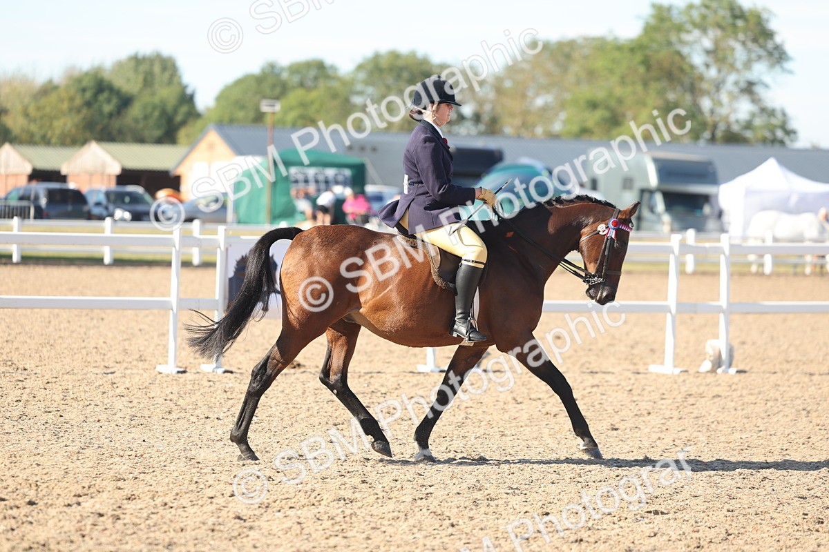 SBM_12335 - Class 304 - Ridden part Bred Horse Pony