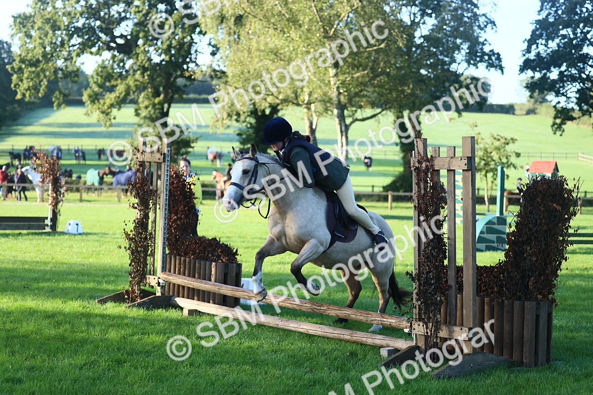 SBM_37249 - S29 - Novice & Newcomers Working Hunter Pony