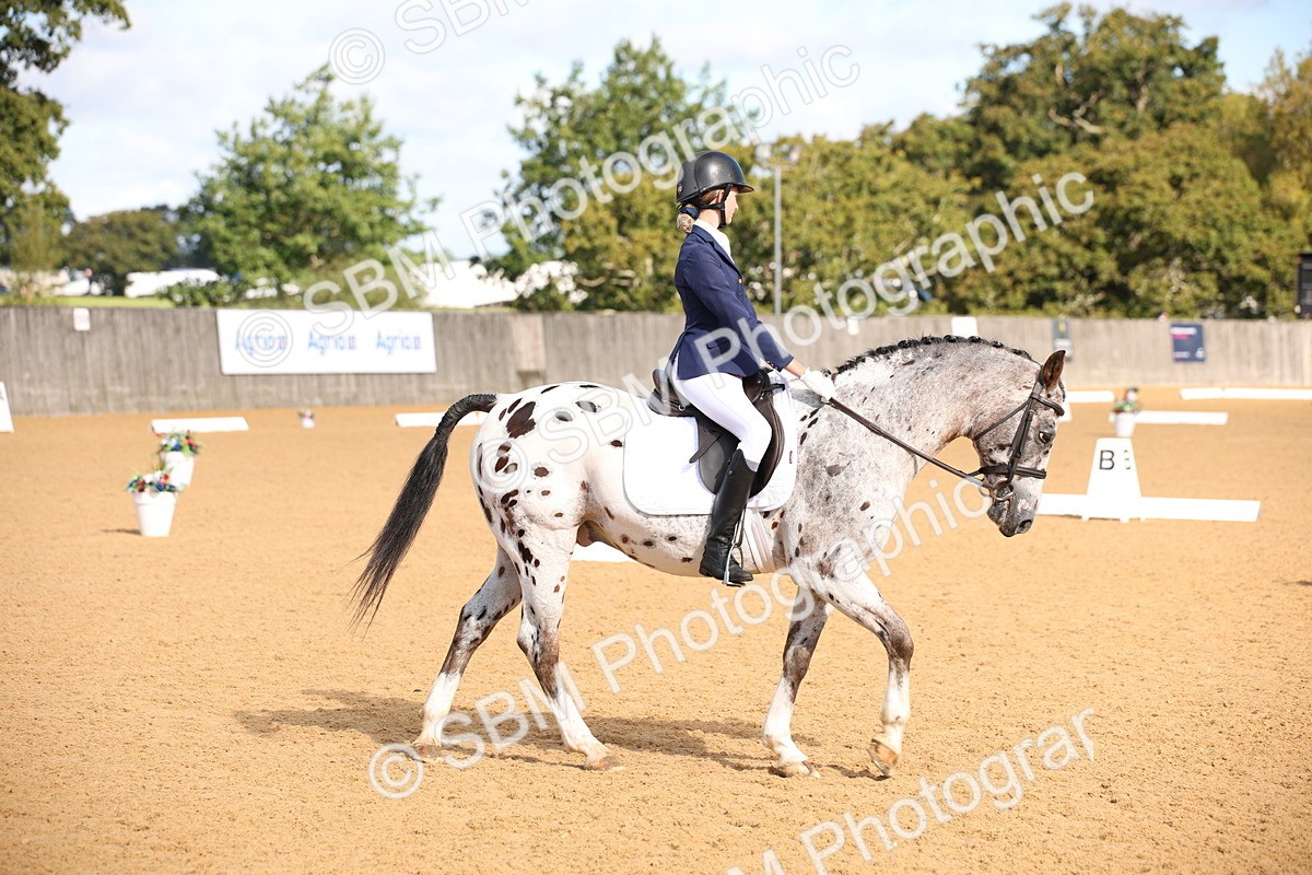 SBM_01957 - D2 Small Tour Championship Intro C