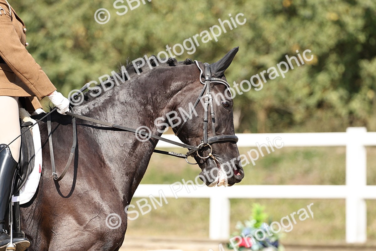 SBM_018687 - Class 16 - Novice 5 - 12.08-13.11