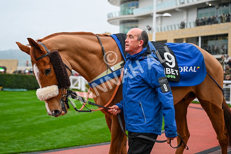 131224-Race 5-Copperhead-9783 - Race 5