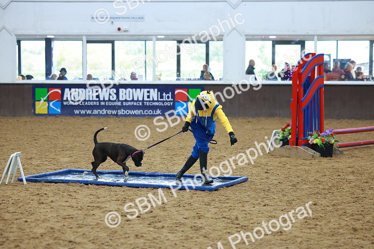 SBM_002261 - Class 3 - Horse & Hound (60cm)