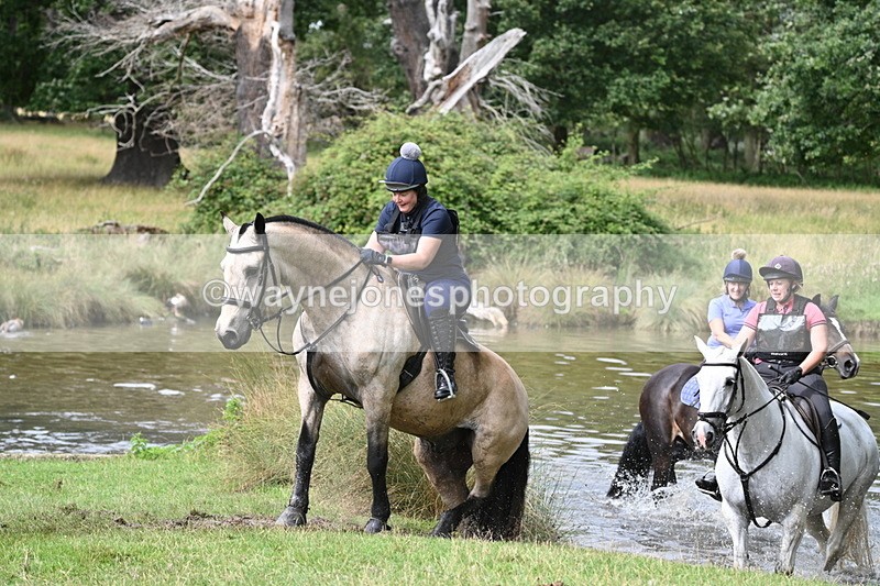 WJ7_1699 - Time at Water 10:48 to 11:13