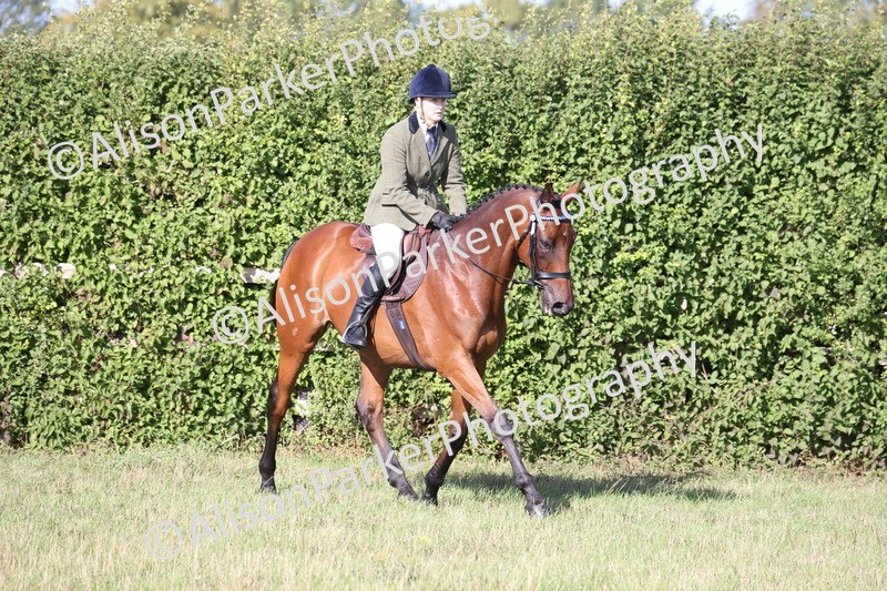 20260906-0389 - Class 14 - Ex Racehorse