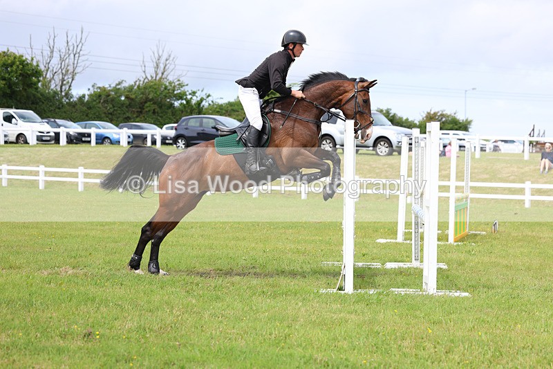 3E7A7339 - Class 13: Senior British Novice/90cm open