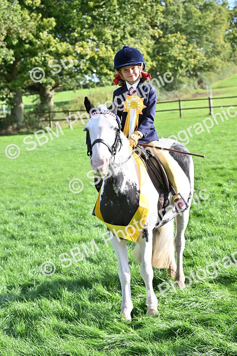 SBM_51275 - S22 - First Ridden show and show Hunter Pony