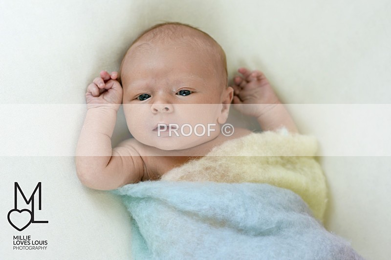 DSC_9184portfolio - Newborn Photoshoots