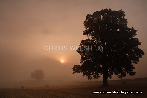 17 - SCOTTISH BORDERS