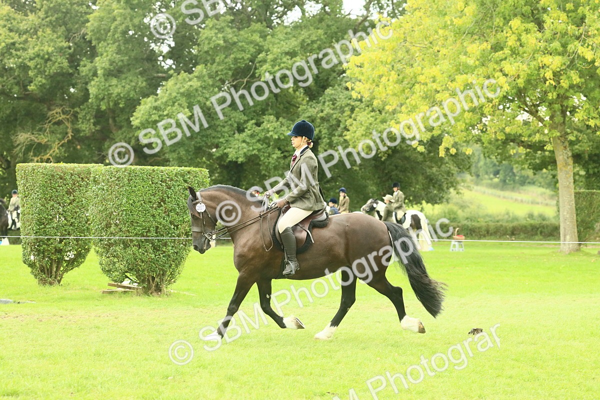 SBM_72158 - S60 - Mountain & Moorland Ridden Large Breeds