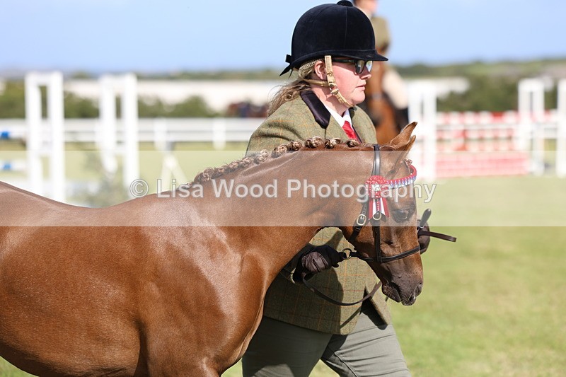 3E7A3895 - Supreme Championship