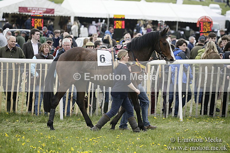 PtP 170417 482 - Old Berks Point-to-Point Lockinge 17/04/17