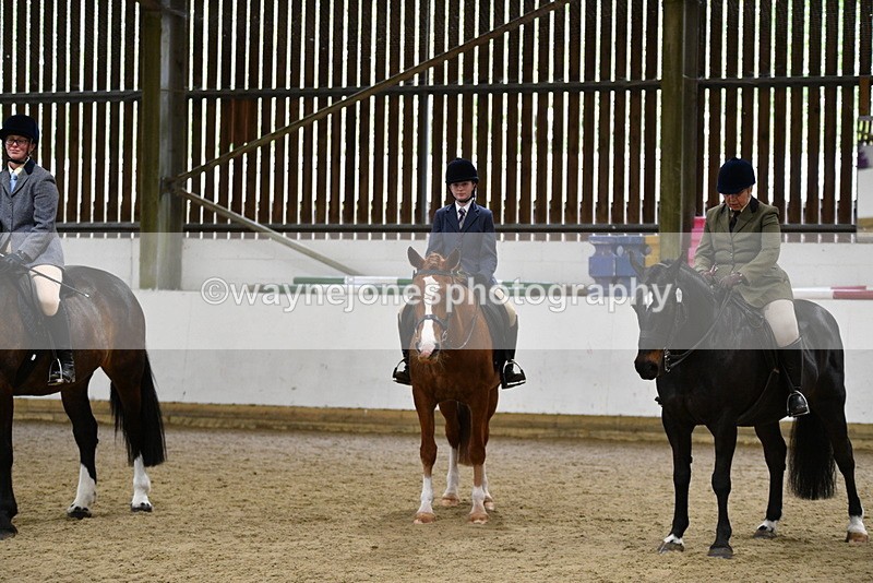 WJ5_8055 - Class 13 Ridden Part Breed