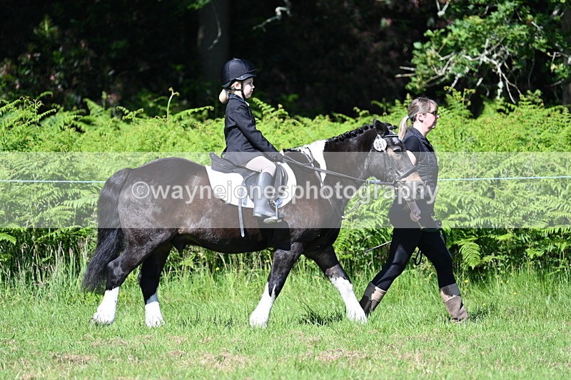 WJ7_0650 - Class 8 First Rally Pony