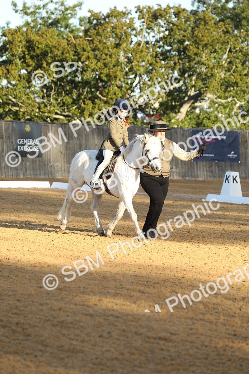 SBM_33583 - D26 - Starers - Lead Rein