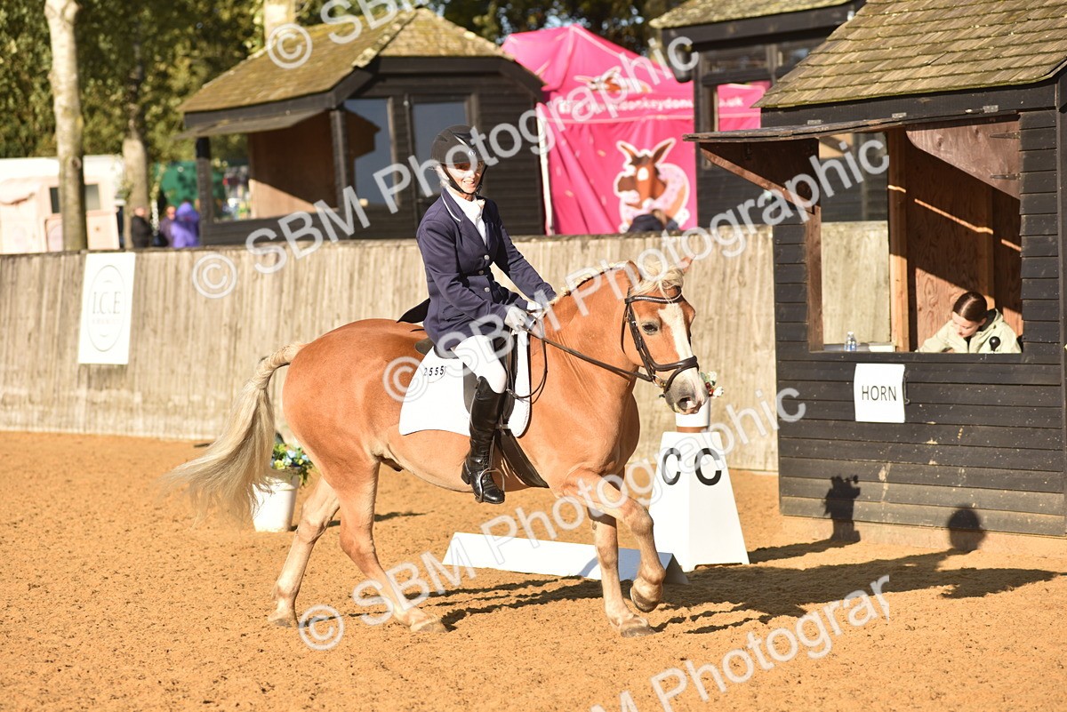 SBM_11412 - D28 - Elementary