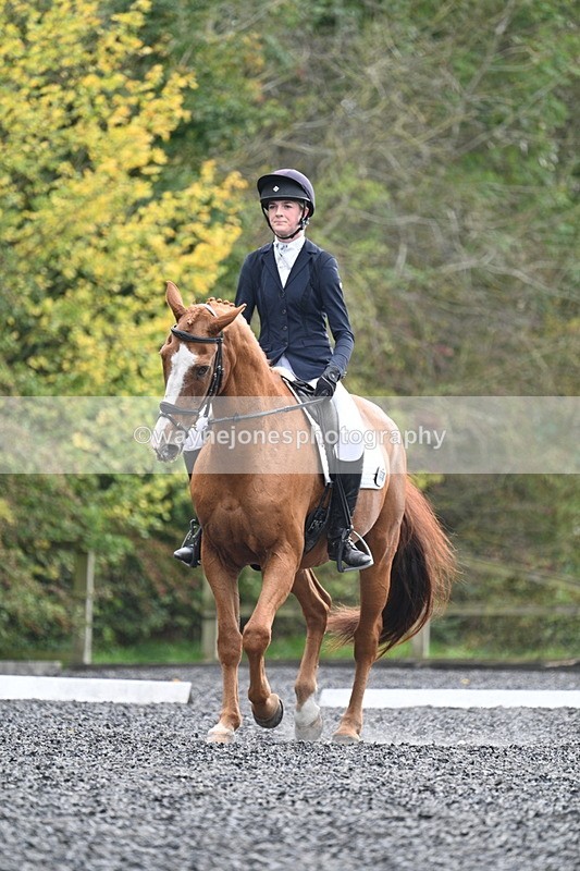 WJ7_6798 - Time 14:49 to 15:14