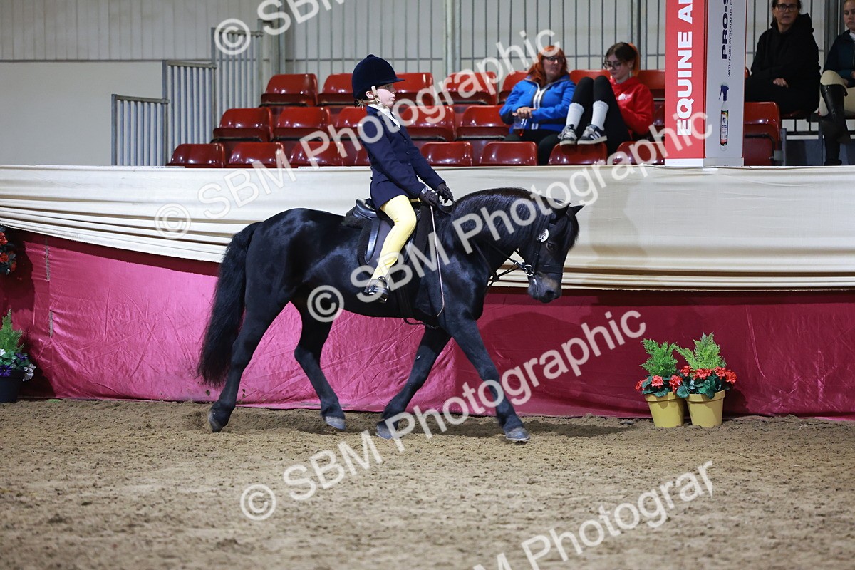 SBM_21533 - Class V - Champion of Champions