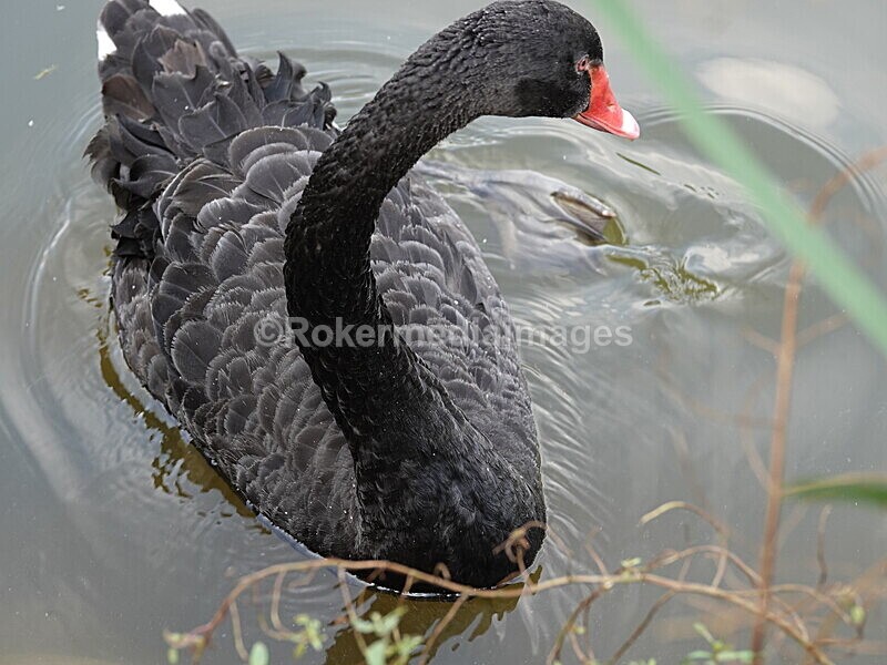 CHINA__0110 - China 2019