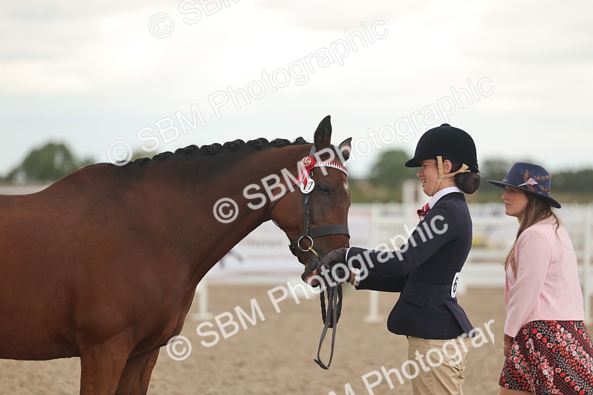 SBM_07659 - Class 26 - IH Foreign Breeds - Part Bred