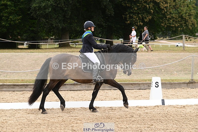 250719A-161221-08118 - Saturday Presentations