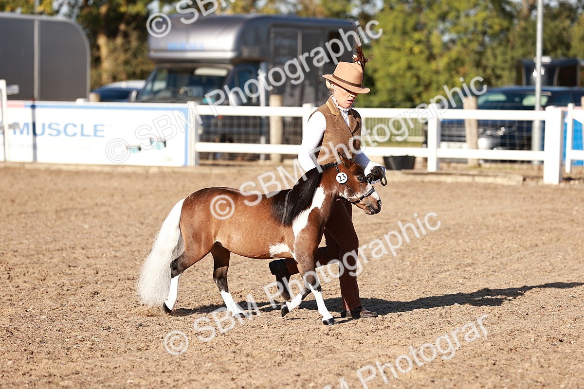 SBM_11389 - Class 402 - IH  Veteran pony