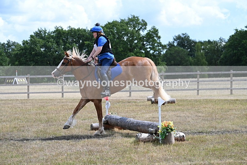 WJ7_0598 - 40cm Time 12:10 to 12:20