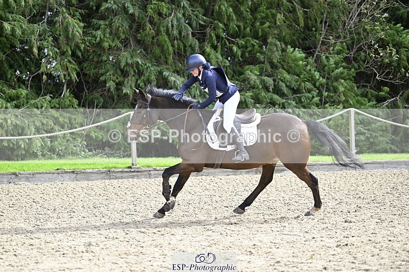 251005A-124152-03890 - Cls 08 Mini 70-75cm