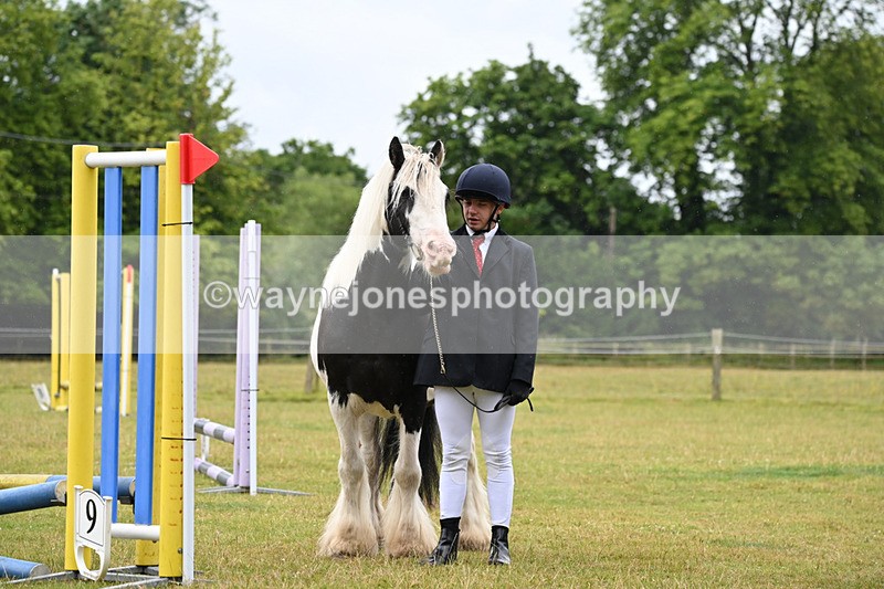 WJ6_8919 - Class 10 Coloured in-hand