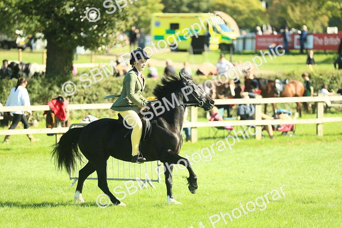 SBM_39109 - S29 - Novice & Newcomers Working Hunter Pony