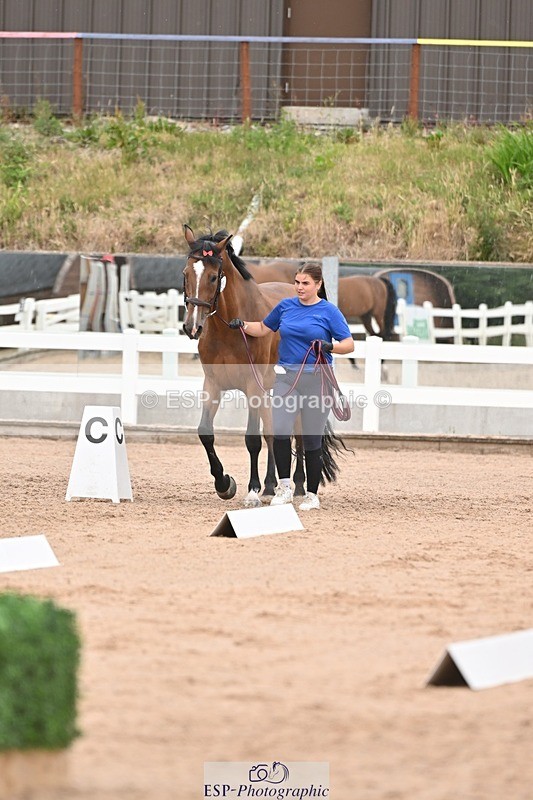 250716-160855-02447 - Trot Up 3.30 to 4.30