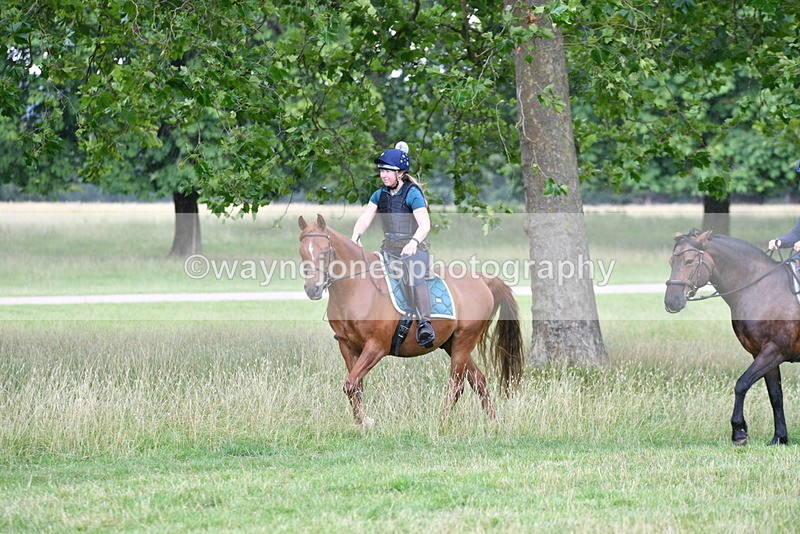 WJ5_2290 - Time at Jump 14:02 to 14:46