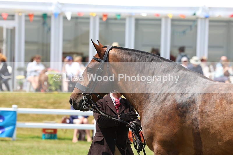 3E7A2221 - Class 10: Open Cob