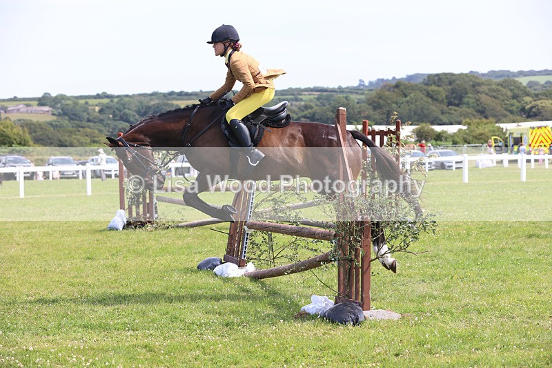 JPP_3566 - Class 23: Working Hunter 80cm
