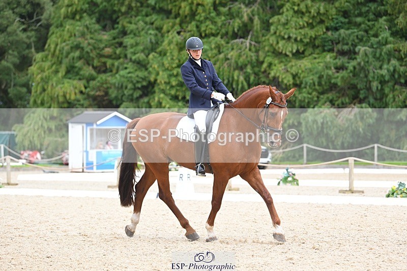 230813-135440-07640 - Cls 13 Medium Bronze 13.15 to End