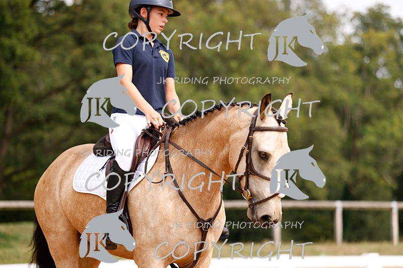 _R6A2819 - Dressage Morning