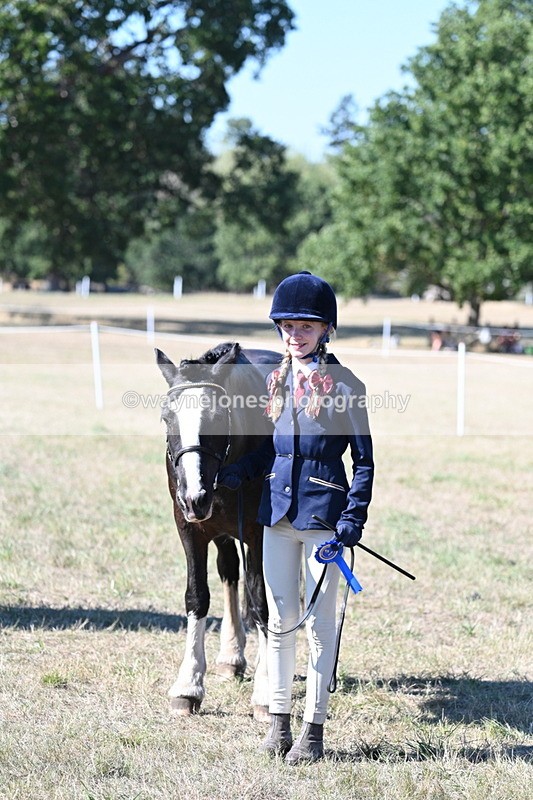 WJ7_1935 - Class 43 Best Six Legs (In hand)