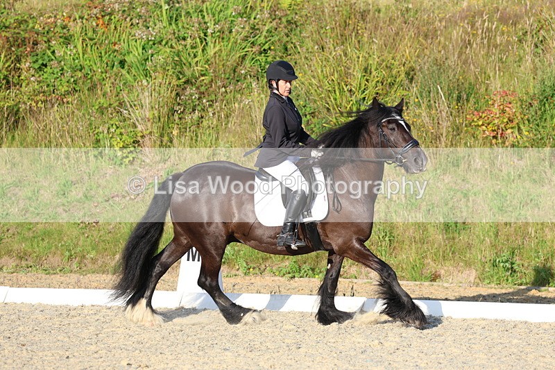 3E7A4197 - Class 3: Prelim 1 2024 Section A