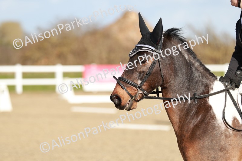 20260314-5282 - DR4 - Prelim 2