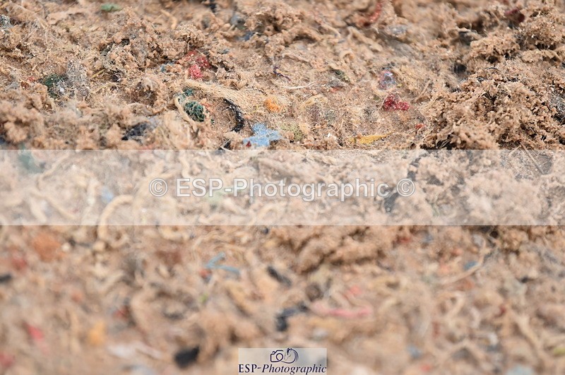 231029A-103042-02310 - 70cm Pony Intro