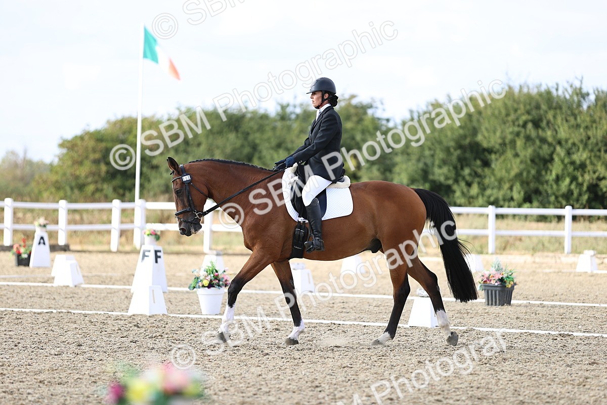 SBM_016076 - Class 5 - E5 Bronze  16.18.17.22