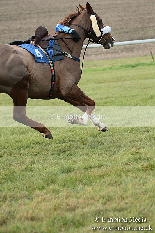 PtP 251118-71 - Vine & Craven Point-to Point Barbury Racecourse 25/11/18