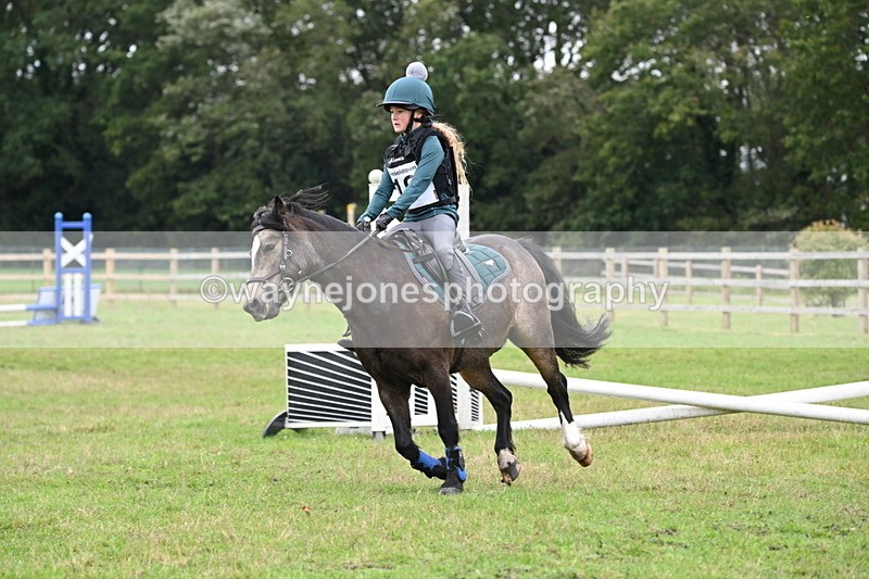 WJ6_0313 - 40cm Time 10:00 to 10:28