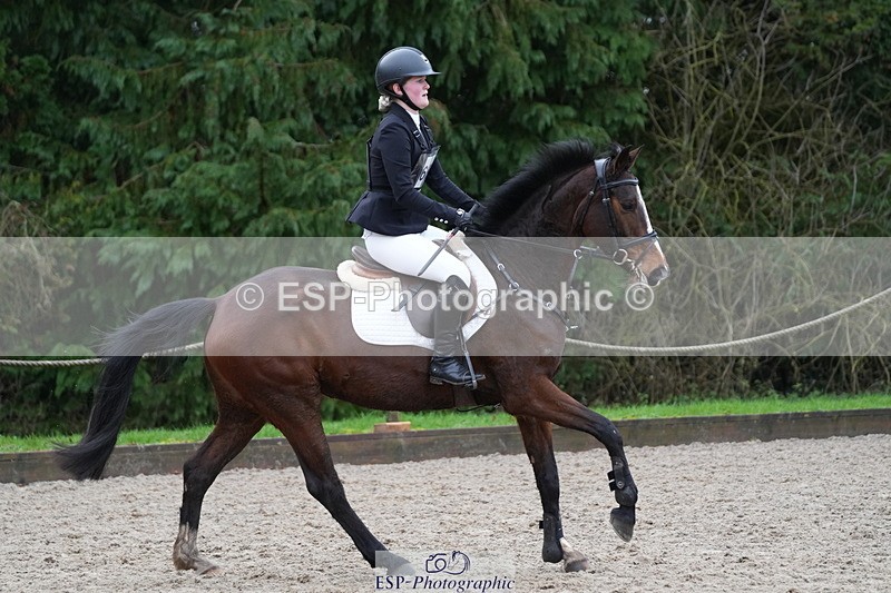 260208A-113129-01705 - 2. 80cm - 85cm