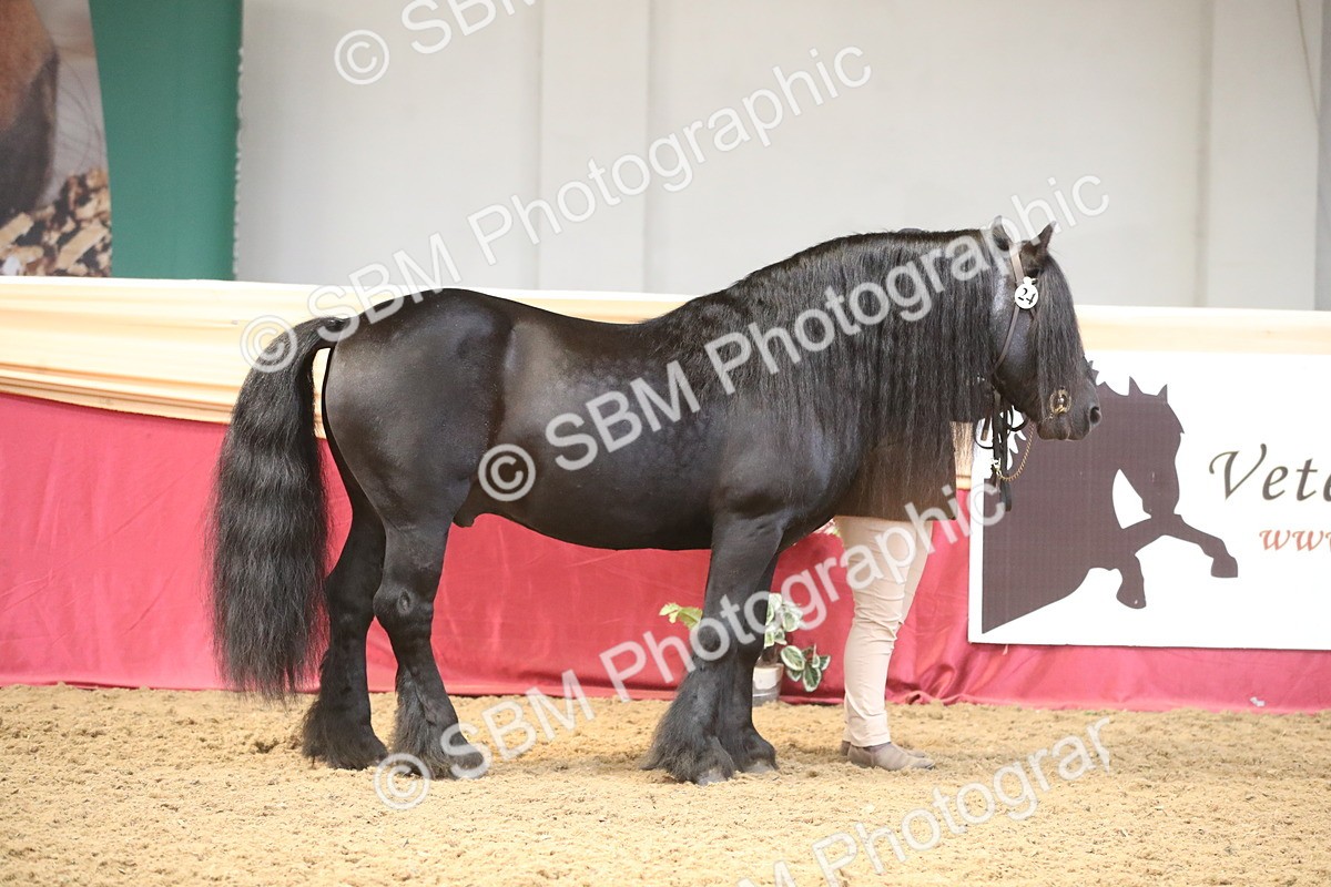 SBM_05309 - Class 8R - Regional IH Veteran