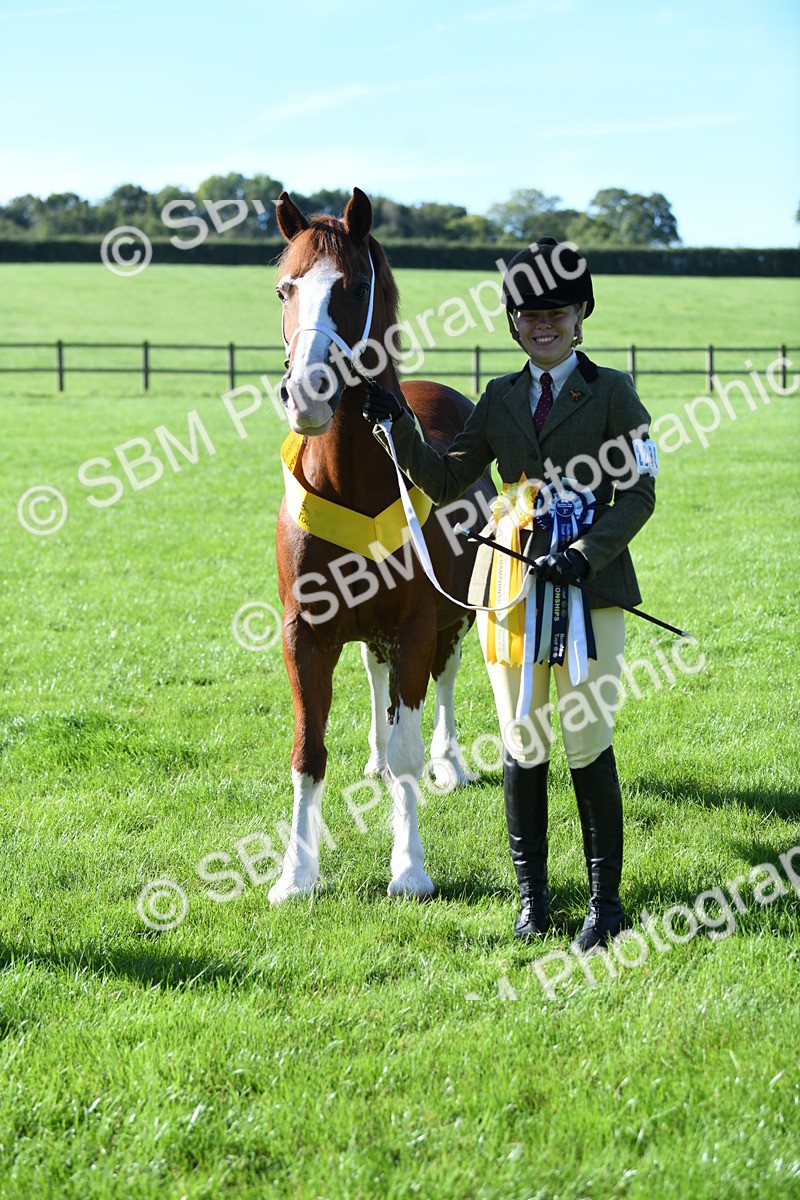 SBM_35601 - Top Turnout Supreme Championship